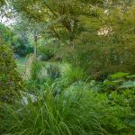 Le jardin du Liseron - Photo Hervé Iniguez