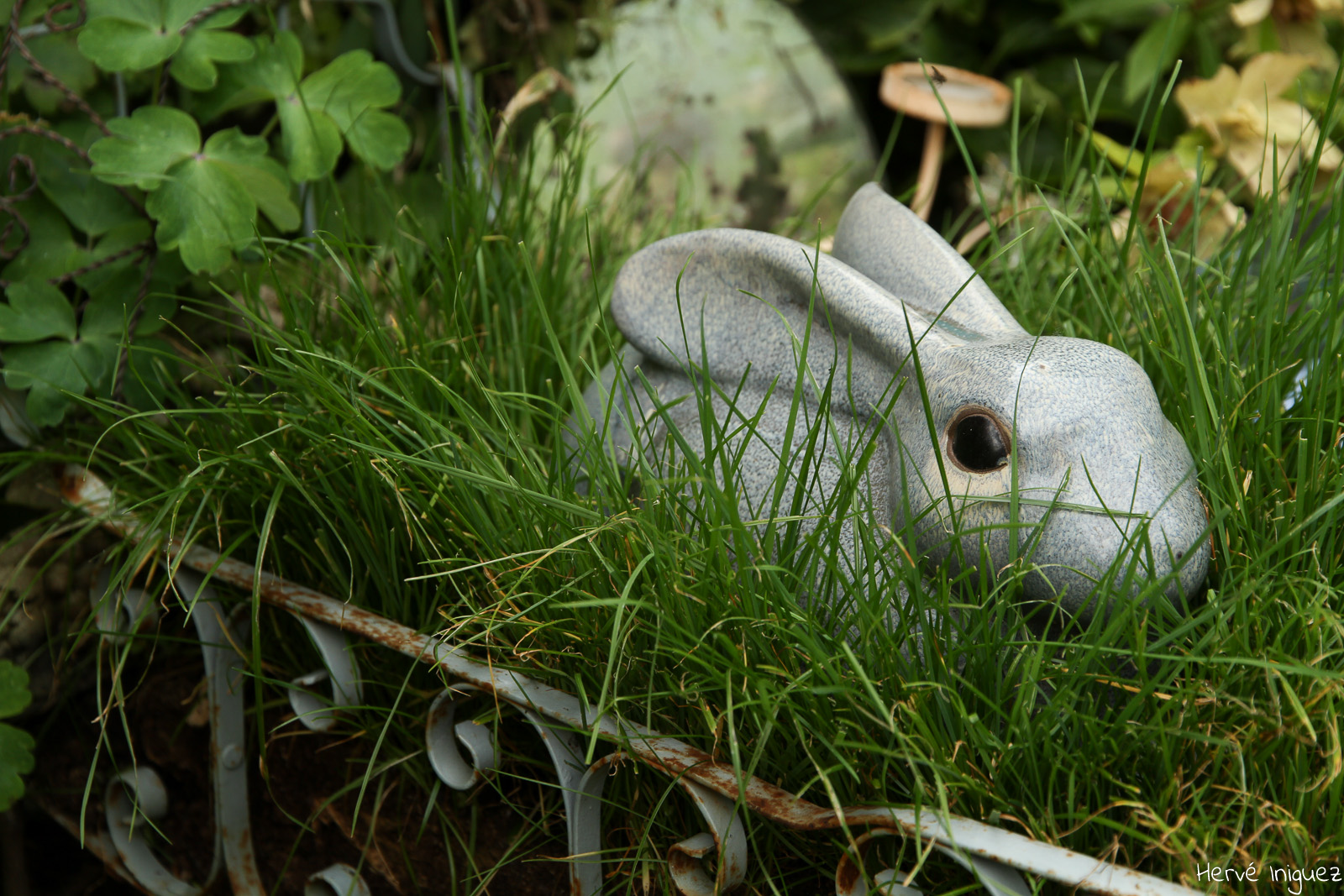 Le jardin du Lapin à Couture-sur-Loir