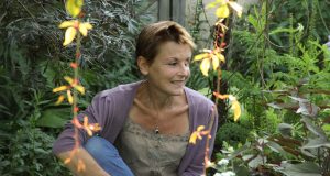 Geneviève Naudin, créatrice sur jardin su Liseron